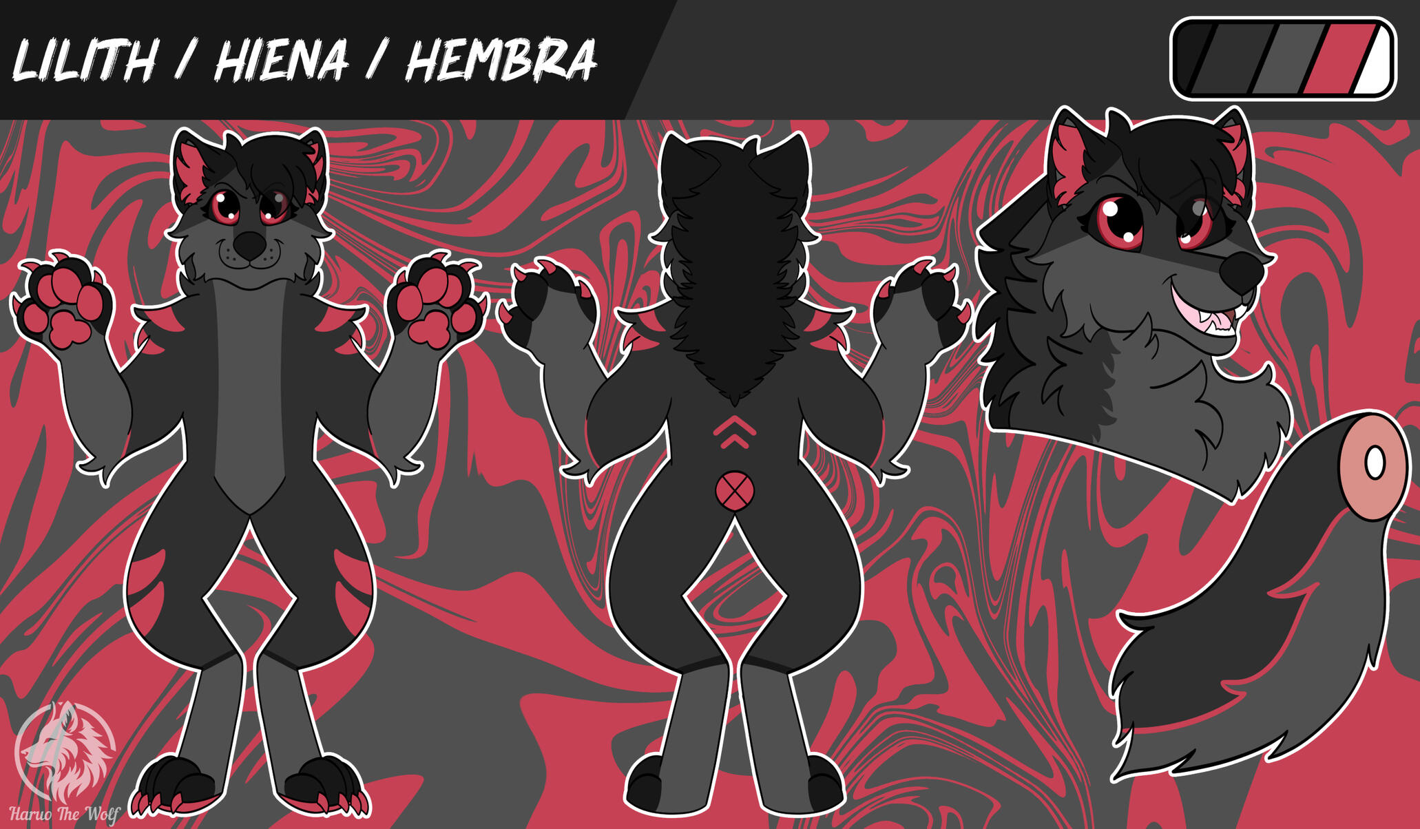 Synder Badge Synder Badge